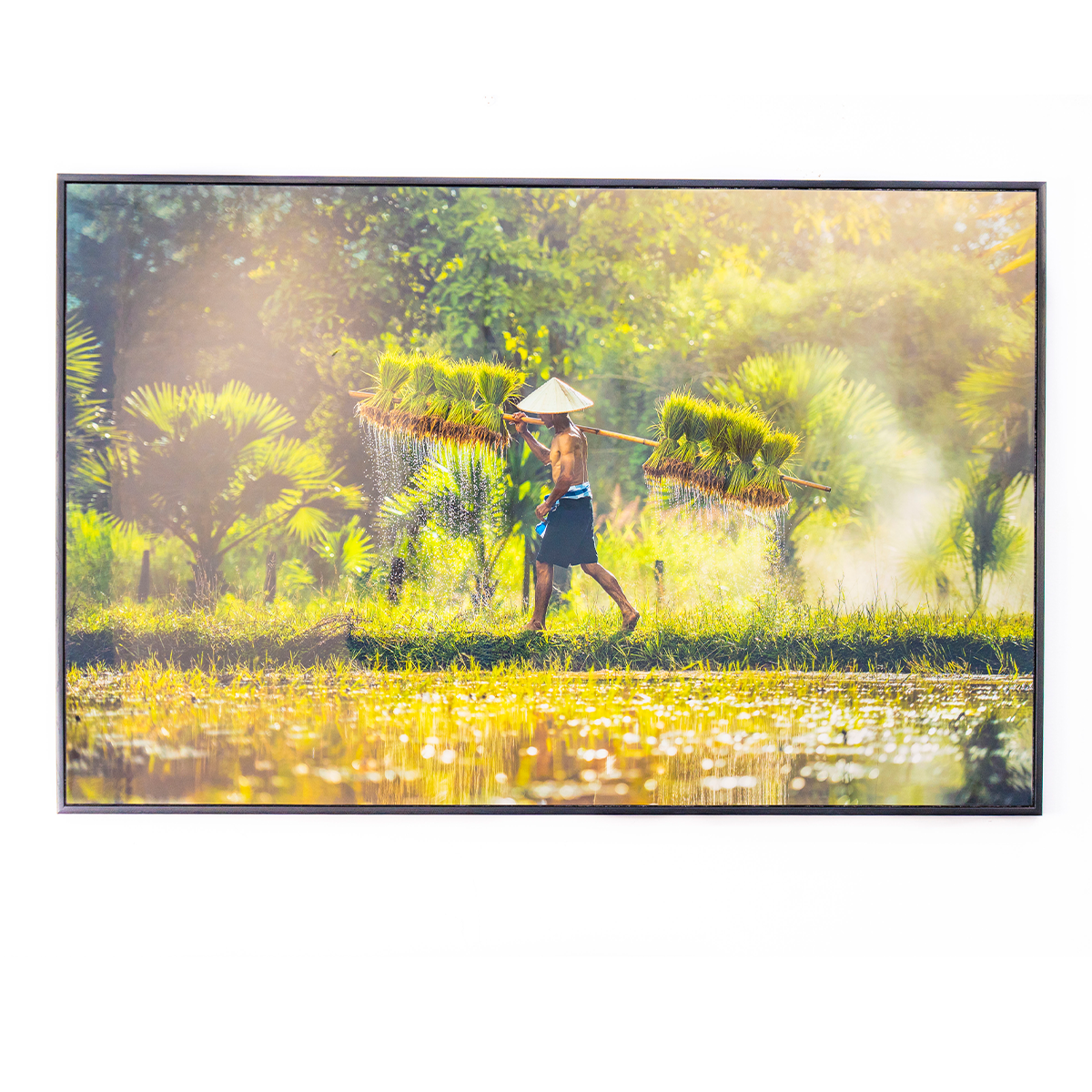 Ảnh Pha Lê 3D Cao Cấp