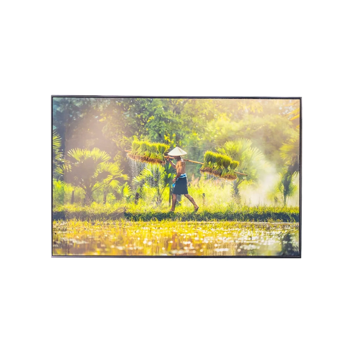 Ảnh Pha Lê 3D Cao Cấp