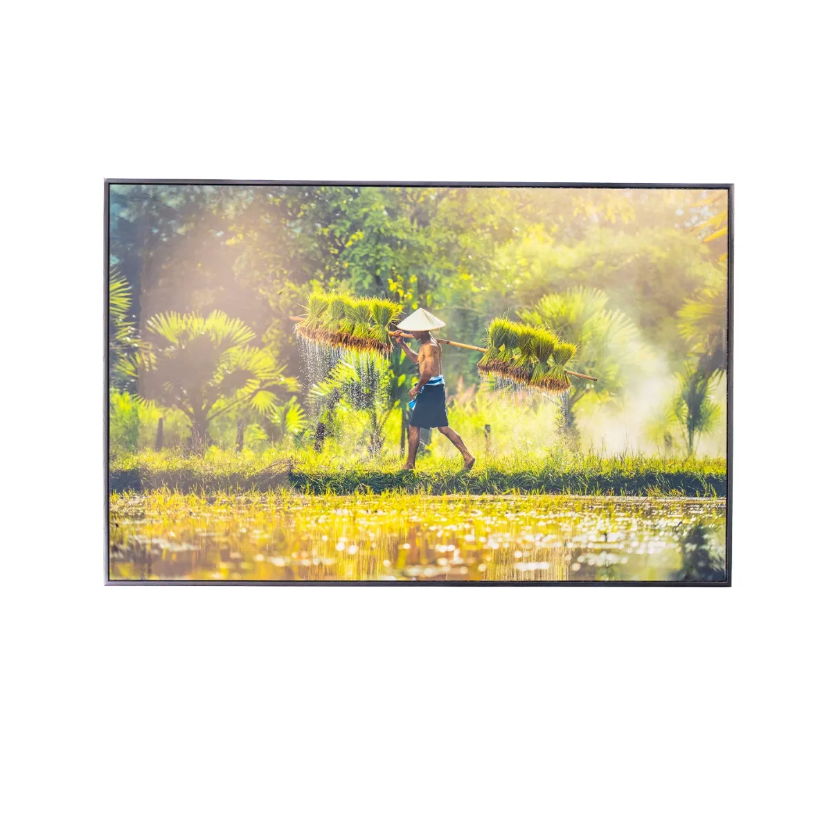 Ảnh Pha Lê 3D Cao Cấp