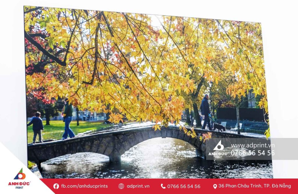 Dịch vụ in ảnh gỗ chất lượng cao, giá tốt - Anh Đức Print 7 ảnh gỗ