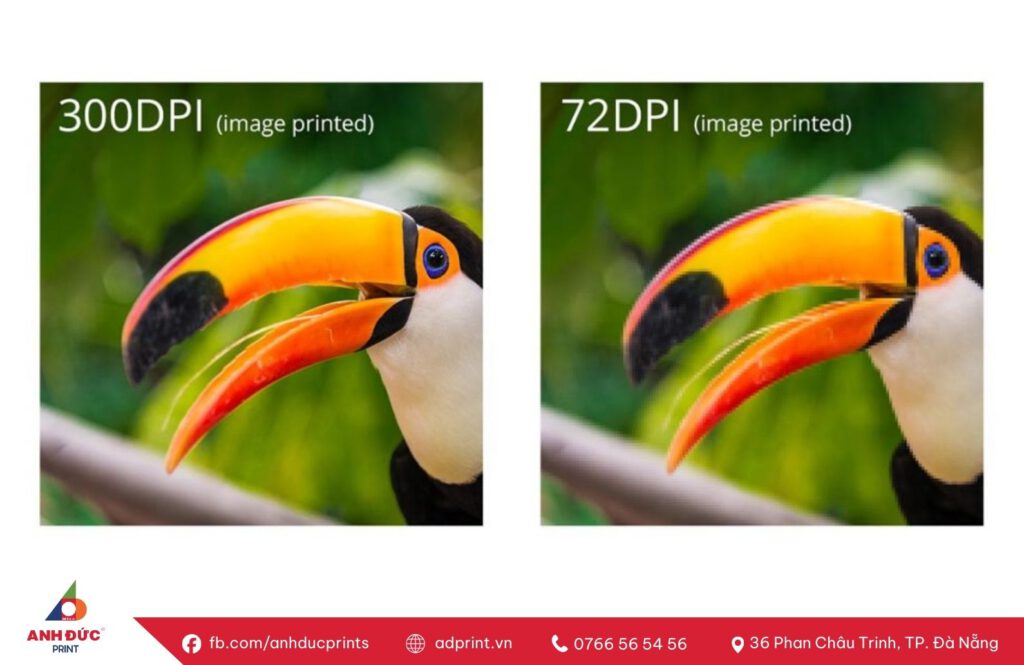 Ảnh 300DPI là gì? Những điều cần biết cho người mới 5 ảnh 300dpi là gì