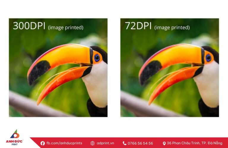 ảnh 300dpi là gì