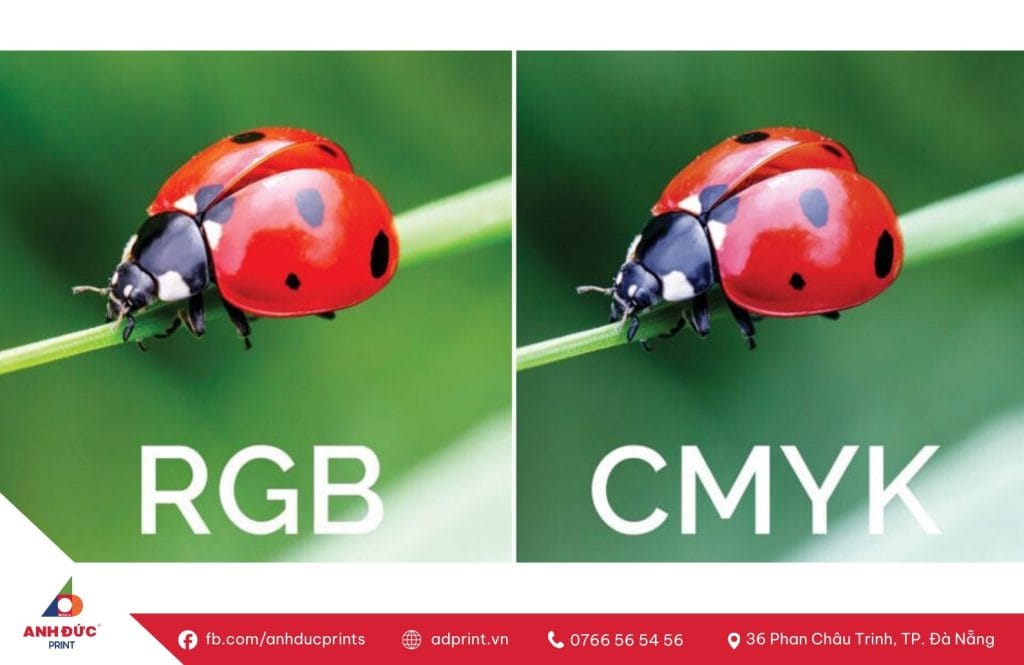Hệ màu CMYK và RGB