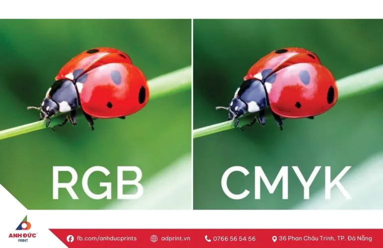 Hệ màu CMYK và RGB