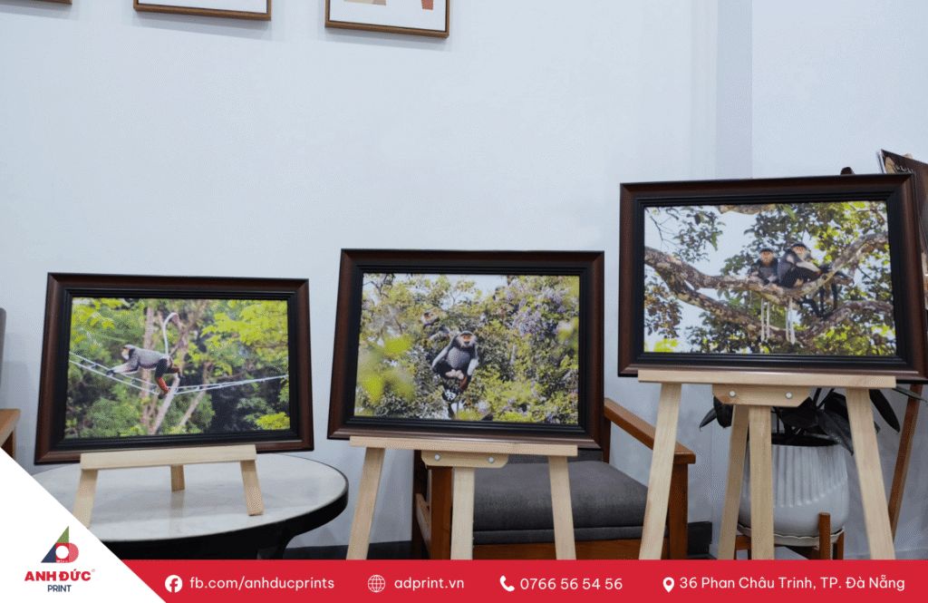 khung ảnh kỷ niệm