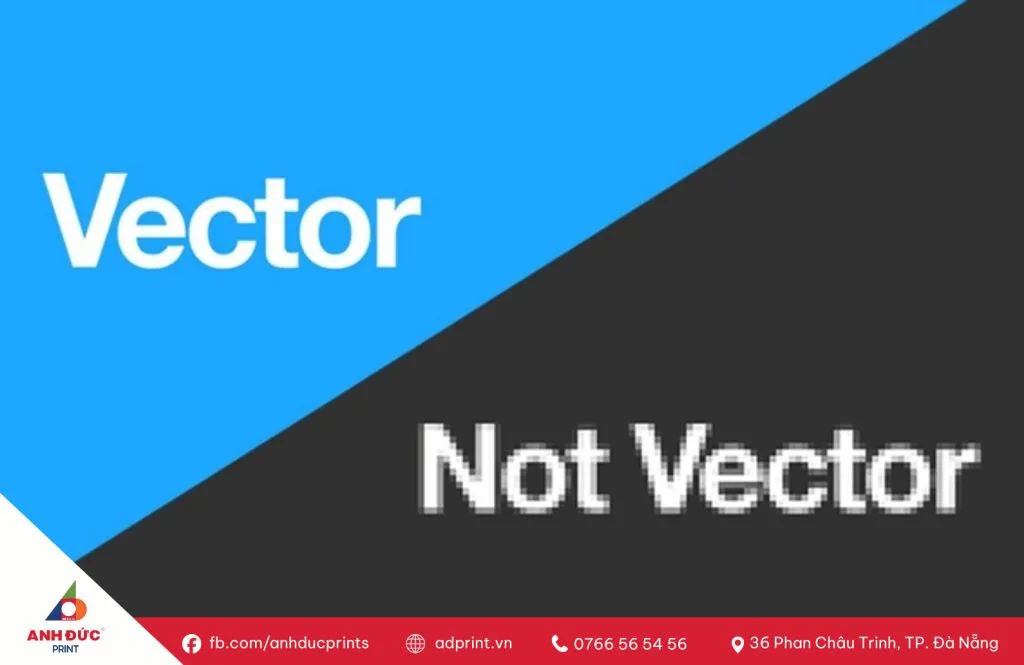 file vector là gì