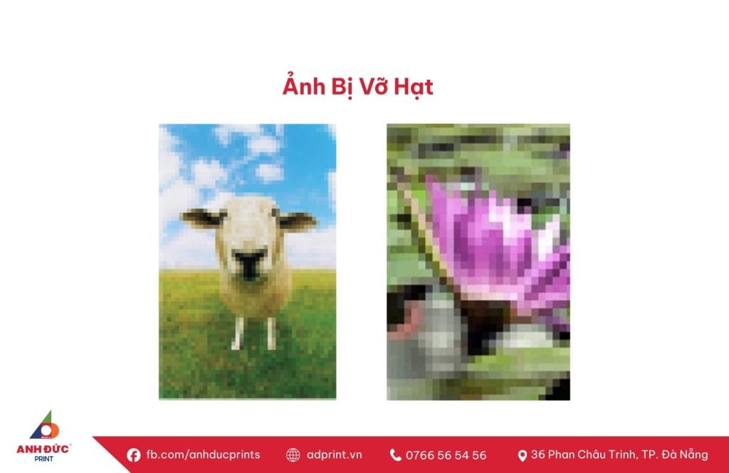 Độ phân giải in ảnh