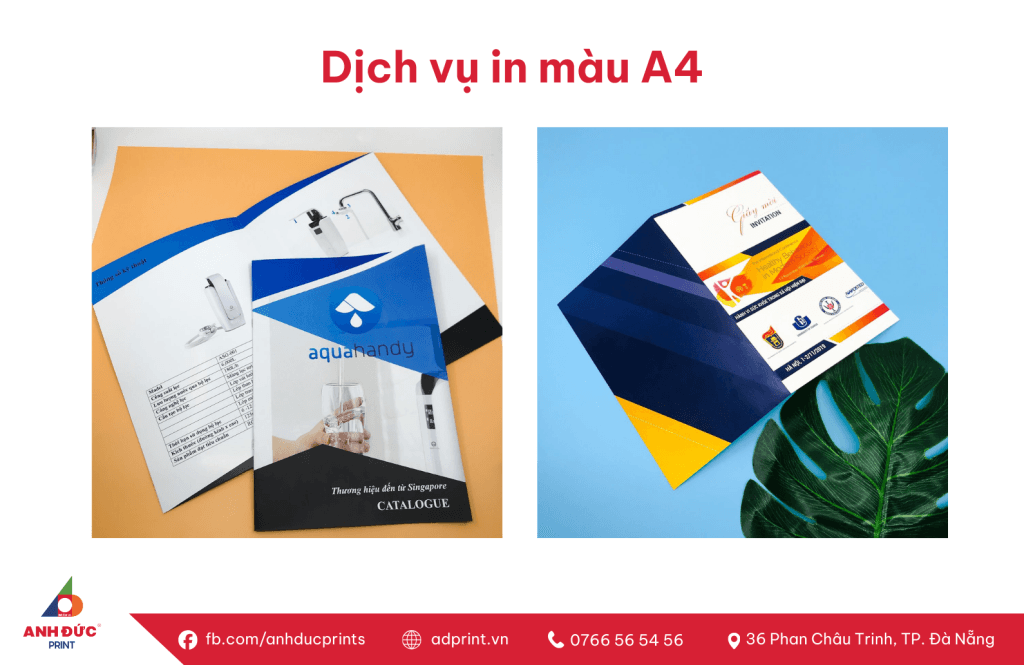 In màu A4 lấy ngay