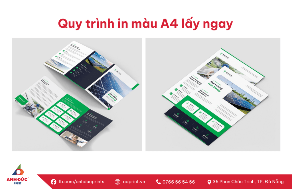 in mà A4 lấy ngay