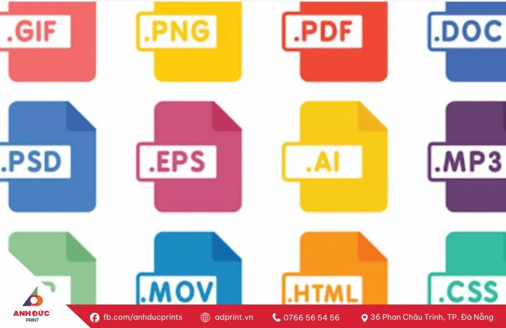 file vector là gì