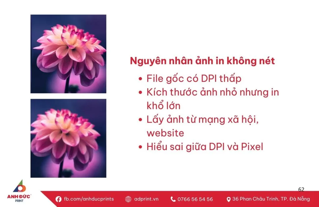 Độ phân giải in ảnh