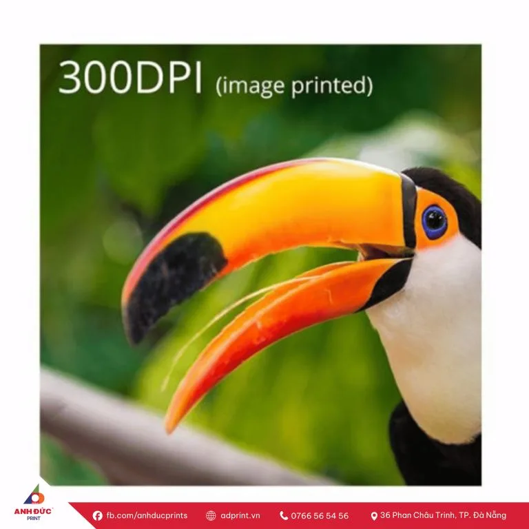 độ phân giải dpi