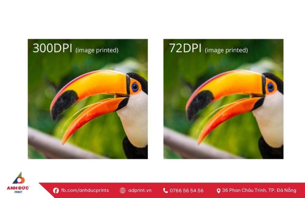 độ phân giải dpi